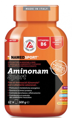 NAMEDSPORT AMINONAM SPORT 500 g